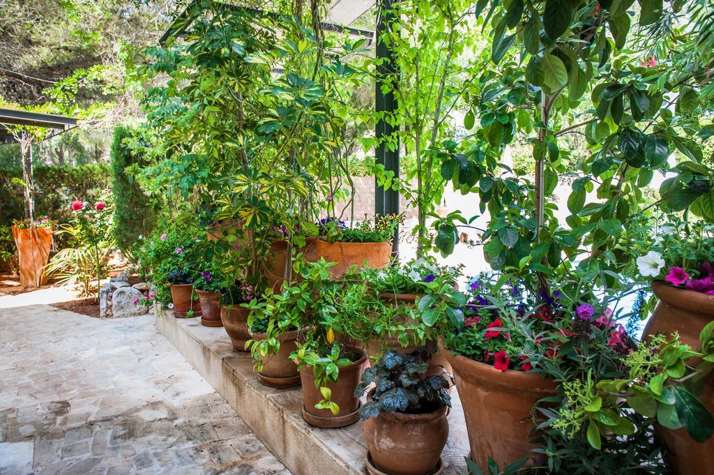Apartamentos Cala Murada Minigolf Екстериор снимка